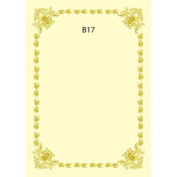 CERTIFICATE CARD WITH GOLD HOT STAMPING BORDER DESIGN A4 160GSM (100 PCS) B17
