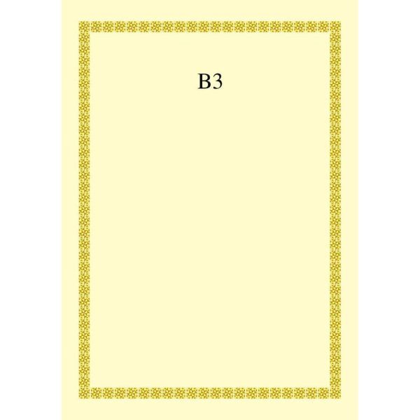 CERTIFICATE CARD WITH GOLD HOT STAMPING BORDER DESIGN A4 160GSM (100 PCS) B3