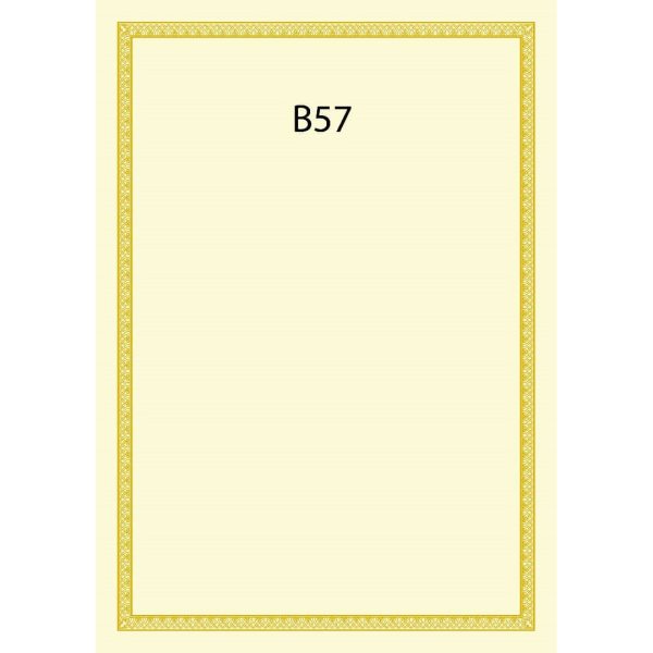 CERTIFICATE CARD WITH GOLD HOT STAMPING BORDER DESIGN A4 160GSM (100 PCS) B57