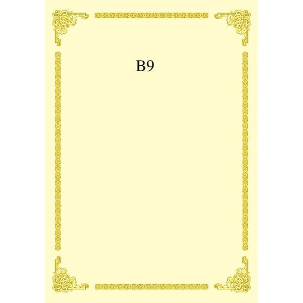 CERTIFICATE CARD WITH GOLD HOT STAMPING BORDER DESIGN A4 160GSM (100 PCS) B9