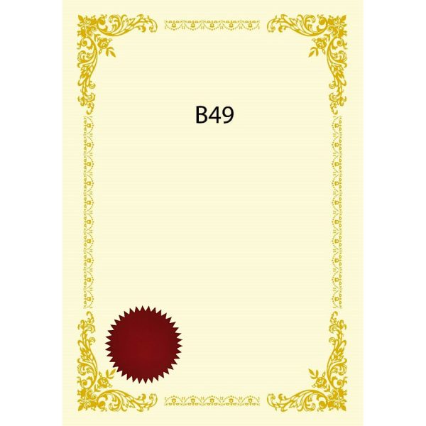 CERTIFICATE CARD WITH GOLD HOT STAMPING BORDER DESIGN & RED SEAL A4 160GSM (100 PCS) B49